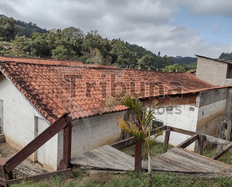 Foto 17 de 32: Terreno em leilão em Pinhalzinho - SP, bairro Rosa Mendes — LOTE 001 Sítio no bairro Rosa Mendes