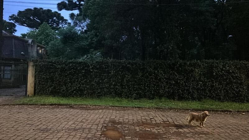 Foto 5 de 6: Terreno em leilão em Passo Fundo - RS — LOTE 001 DOIS LOTES DE TERRENOS em Passo Fundo/RS