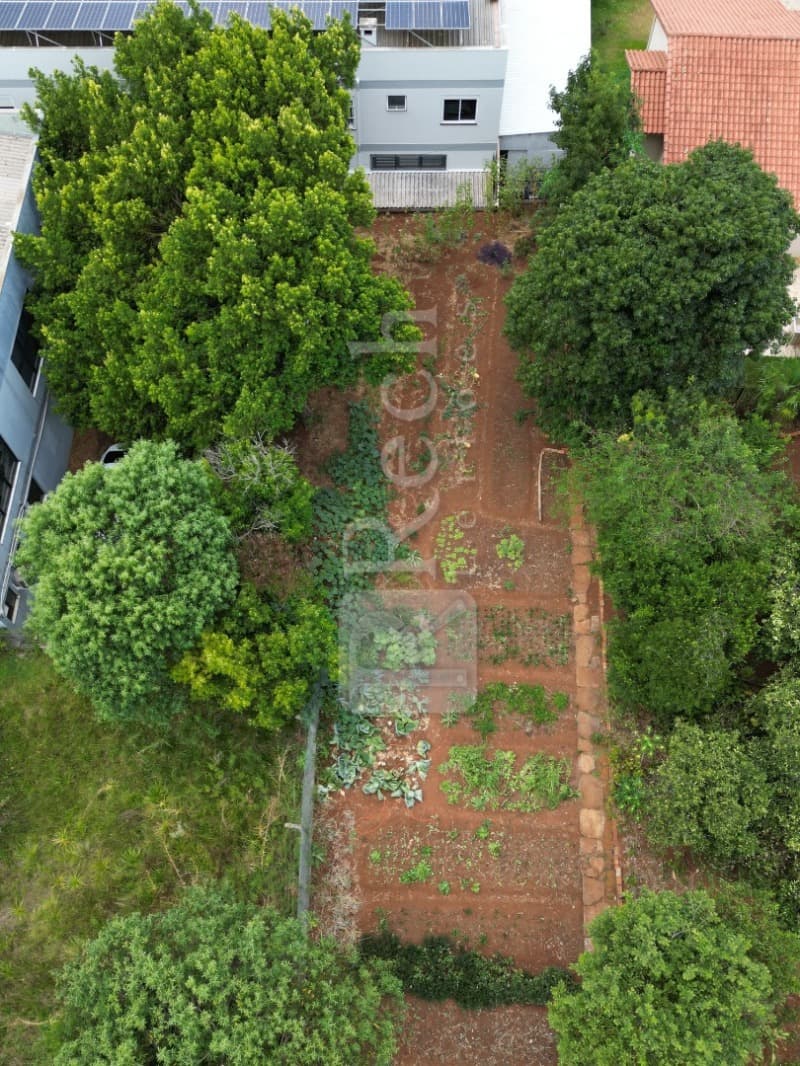 Foto 8 de 9: Terreno em leilão em Tio Hugo - RS — LOTE 001 TERRENO URBANO, ENCRAVADO, COM ÁREA DE 583,33M², EM TIO HUGO/RS