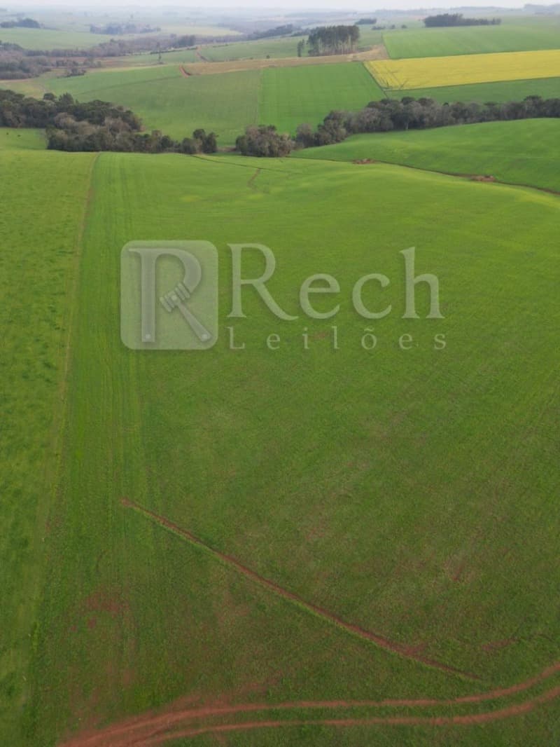 Terreno em leilão em Tio Hugo - RS — LOTE 001 UMA PARTE DE TERRAS DE CULTURA, COM ÁREA DE 30.000,00M², EM TIO HUGO/RS