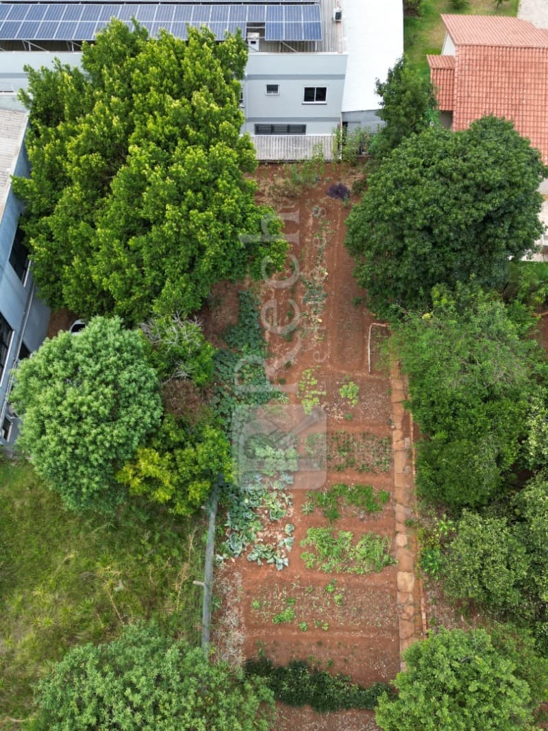Foto 4 de 9: Terreno em leilão em Tio Hugo - RS — LOTE 001 TERRENO URBANO, ENCRAVADO, COM ÁREA DE 583,33M², EM TIO HUGO/RS