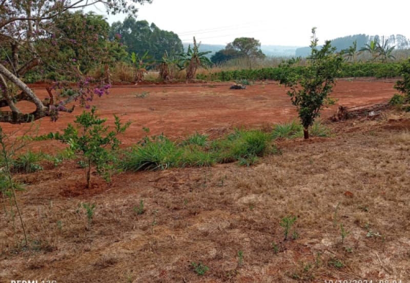 Foto 14 de 19: Area Rural em leilão em Patrocínio - MG — LOTE 005 IMÓVEL RURAL COM 17 HECTARES EM PATROCÍNIO/MG
