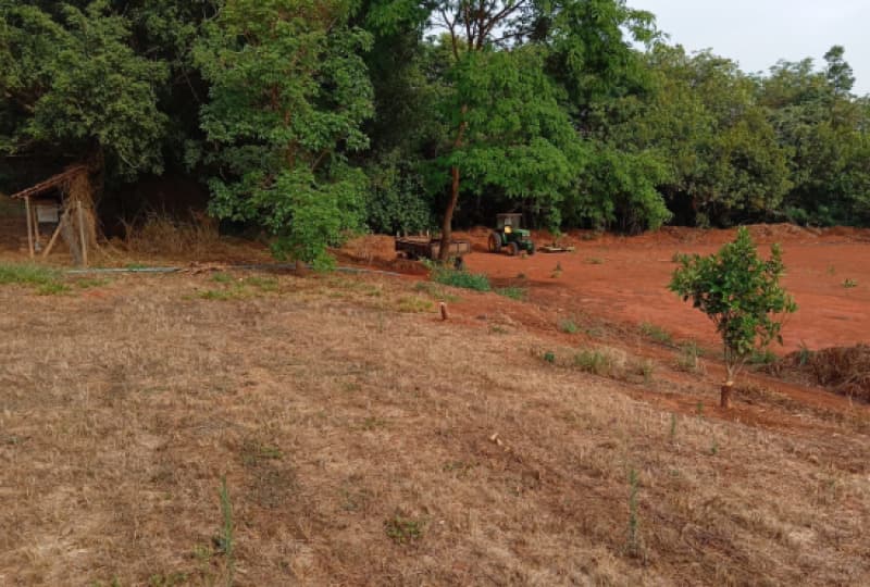 Foto 17 de 19: Area Rural em leilão em Patrocínio - MG — LOTE 005 IMÓVEL RURAL COM 17 HECTARES EM PATROCÍNIO/MG
