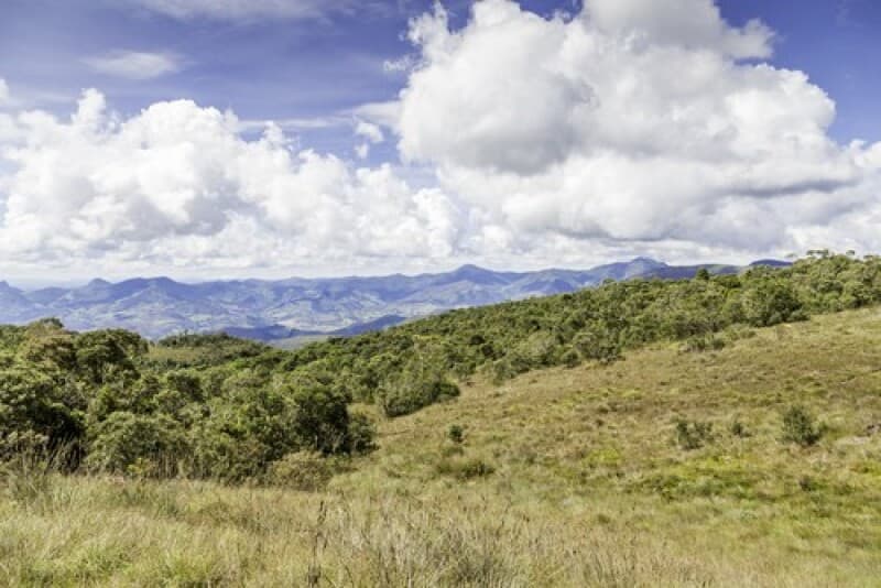 Area Rural em leilão em Presidente Olegário - MG — LOTE 005 UMA SORTE DE TERRAS DE 53.18.35 HECTARES NO MUNICÍPIO DE PRESIDENTE OLEGÁRIO/MG