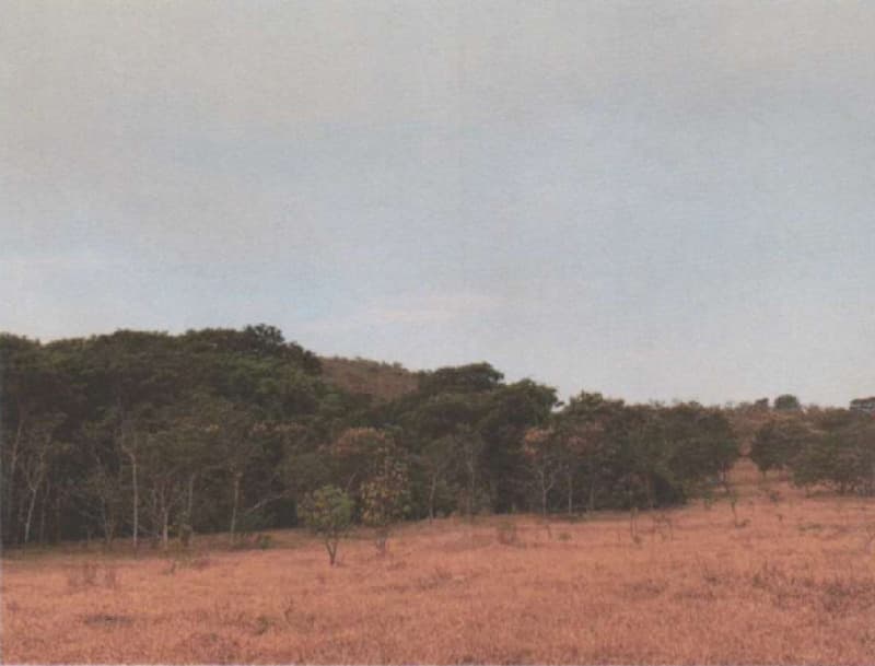 Foto 1 de 11: Area Rural em leilão em Patrocínio - MG — LOTE 001 UM IMÓVEL RURAL SITUADO À FAZENDA CACHOEIRA EM PATROCÍNIO/MG