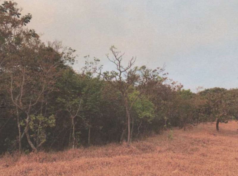 Foto 4 de 11: Area Rural em leilão em Patrocínio - MG — LOTE 001 UM IMÓVEL RURAL SITUADO À FAZENDA CACHOEIRA EM PATROCÍNIO/MG