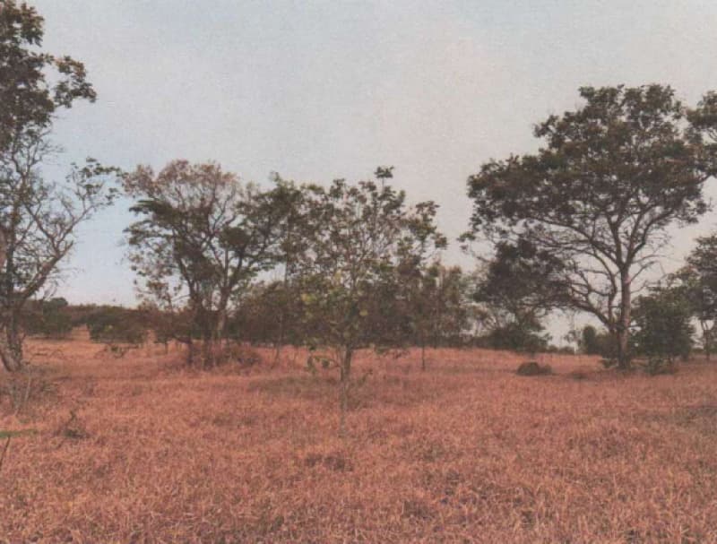 Foto 5 de 11: Area Rural em leilão em Patrocínio - MG — LOTE 001 UM IMÓVEL RURAL SITUADO À FAZENDA CACHOEIRA EM PATROCÍNIO/MG