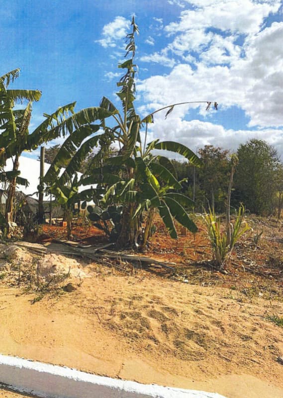Foto 1 de 2: Terreno em leilão em Patrocínio - MG, bairro Morada do Sol — LOTE 001-8 TERRENO Nº 383 NO NEW GOLDEN PARK EM PATROCÍNIO/MG