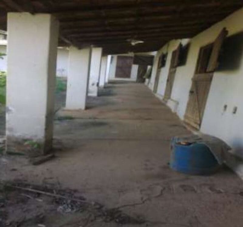 Foto 18 de 27: Area Rural em leilão em Elias Fausto - SP — LOTE 001 Sítio Sinuelo com 19,36 has no bairro Três Cruzes ou Buru, Elias Fausto/SP