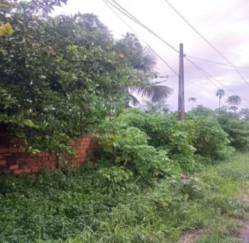 Terreno em leilão em Marituba - PA — LOTE 001 Terreno Lote n° 03 (três) com área de 13.150,48m², Bairro São Francisco, Setor V, Marituba/