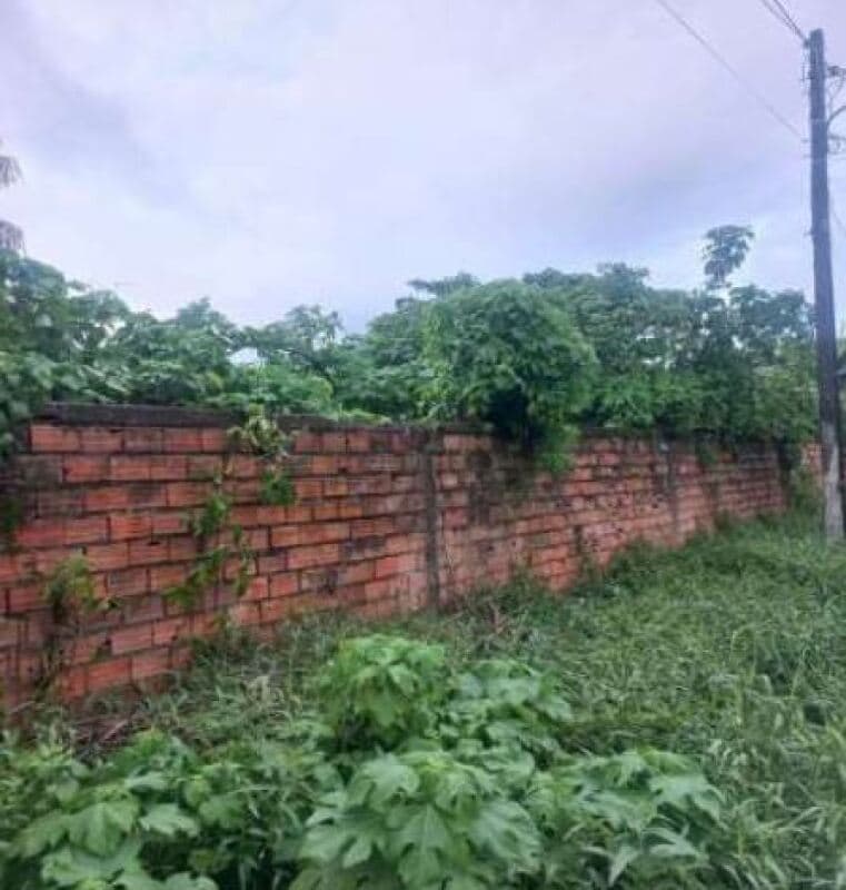 Foto 2 de 2: Terreno em leilão em Marituba - PA — LOTE 001 Terreno Lote n° 03 (três) com área de 13.150,48m², Bairro São Francisco, Setor V, Marituba/