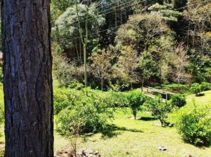 Foto 2 de 21: Area Rural em leilão em Joanópolis - SP — LOTE 001 Gleba de Terras com área de 151.071,182m², Bairro Sabia Uma, Piracaia/SP