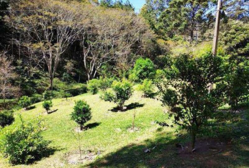 Foto 3 de 21: Area Rural em leilão em Joanópolis - SP — LOTE 001 Gleba de Terras com área de 151.071,182m², Bairro Sabia Uma, Piracaia/SP