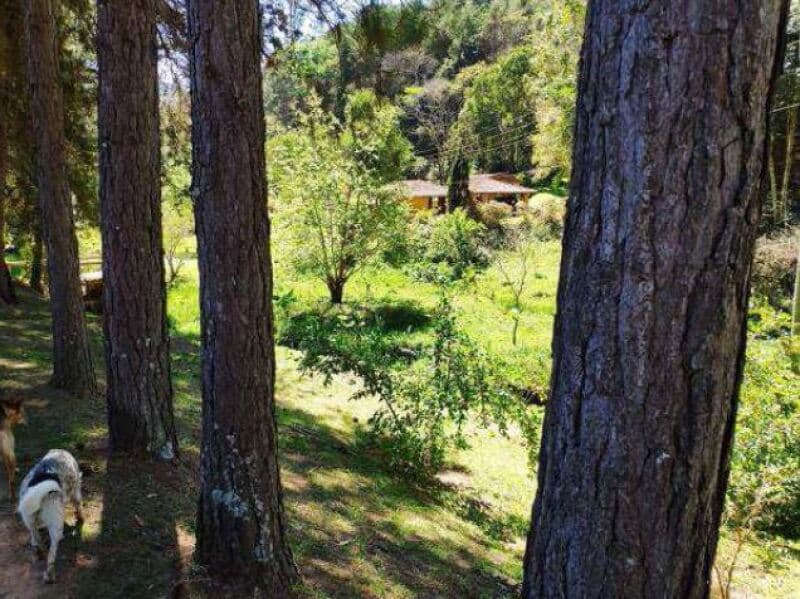 Foto 4 de 21: Area Rural em leilão em Joanópolis - SP — LOTE 001 Gleba de Terras com área de 151.071,182m², Bairro Sabia Uma, Piracaia/SP