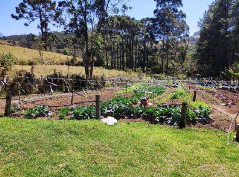 Foto 21 de 21: Area Rural em leilão em Joanópolis - SP — LOTE 001 Gleba de Terras com área de 151.071,182m², Bairro Sabia Uma, Piracaia/SP