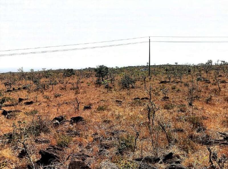 Area Rural em leilão em Vila Bela Da Santíssima Trindade - MT — LOTE 001 Imóvel Rural com A.T. 6.238,9109 hectares, Fazenda Serra Dourada IV - MT