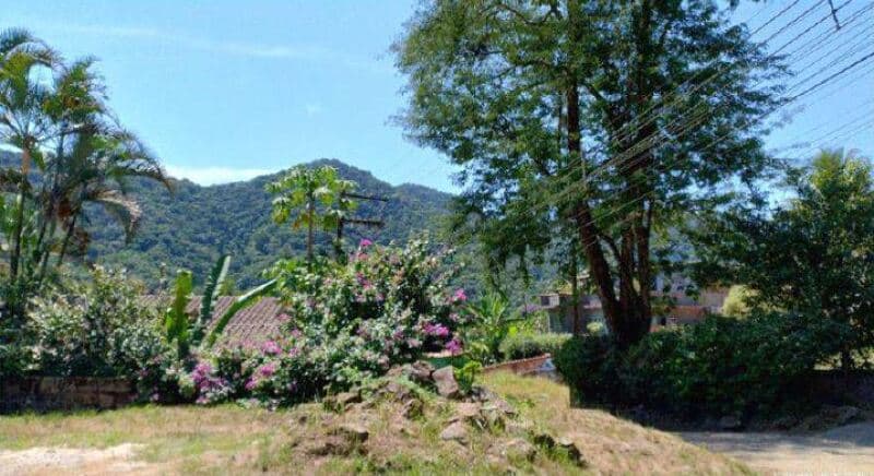 Foto 4 de 8: Area Rural em leilão em Ubatuba - SP, bairro Perequê Mirim — LOTE 002 Parte Ideal 2,31561% da Gleba de Terras, Sertão do Perequê-Mirim, área de 52.699,12m², Ubat
