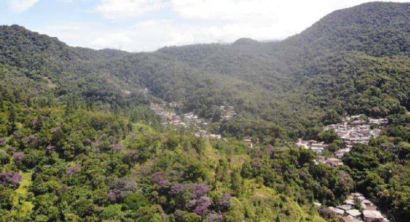 Foto 8 de 8: Area Rural em leilão em Ubatuba - SP, bairro Perequê Mirim — LOTE 002 Parte Ideal 2,31561% da Gleba de Terras, Sertão do Perequê-Mirim, área de 52.699,12m², Ubat