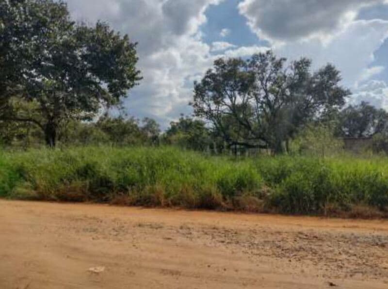 Foto 1 de 16: Terreno em leilão em Itapetininga - SP, bairro Bairro do Pinhal — LOTE 001 Terreno com área de 6.000m², Bairro do Pinhal, Vila Curuçá, Itapetininga/SP