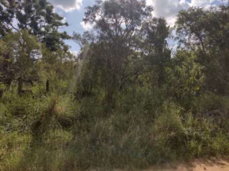 Foto 8 de 16: Terreno em leilão em Itapetininga - SP, bairro Bairro do Pinhal — LOTE 001 Terreno com área de 6.000m², Bairro do Pinhal, Vila Curuçá, Itapetininga/SP