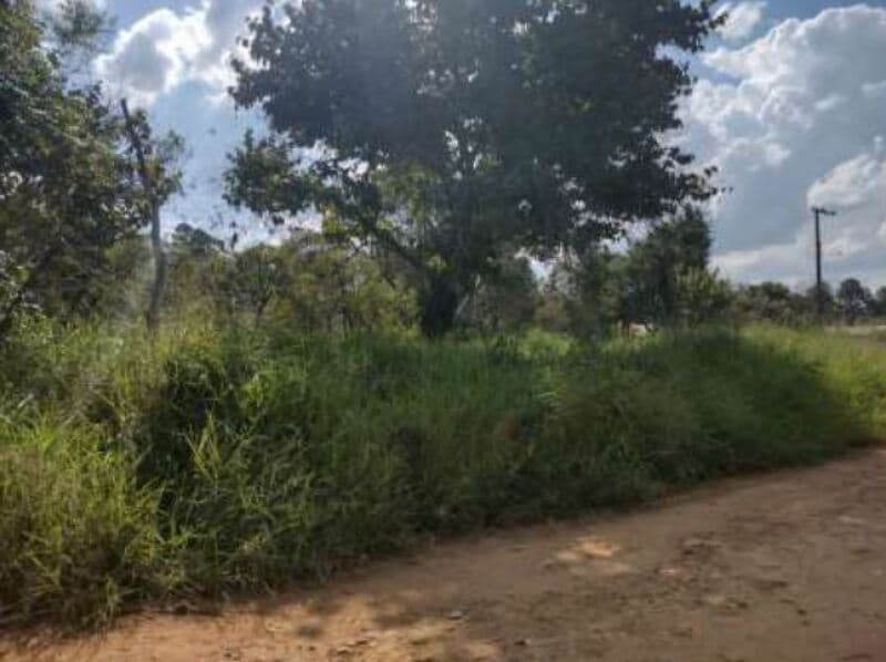 Foto 9 de 16: Terreno em leilão em Itapetininga - SP, bairro Bairro do Pinhal — LOTE 001 Terreno com área de 6.000m², Bairro do Pinhal, Vila Curuçá, Itapetininga/SP