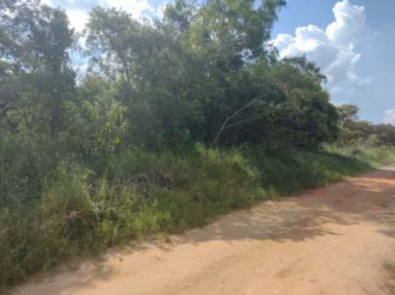 Foto 10 de 16: Terreno em leilão em Itapetininga - SP, bairro Bairro do Pinhal — LOTE 001 Terreno com área de 6.000m², Bairro do Pinhal, Vila Curuçá, Itapetininga/SP