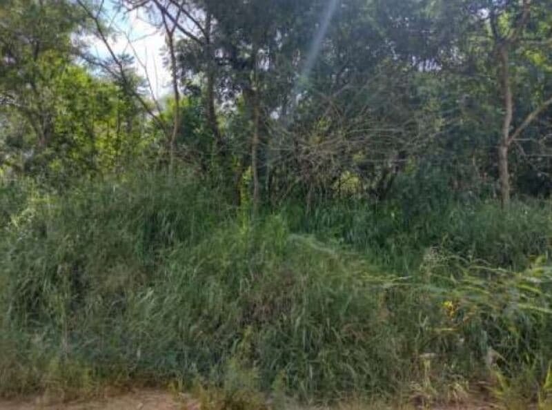 Foto 11 de 16: Terreno em leilão em Itapetininga - SP, bairro Bairro do Pinhal — LOTE 001 Terreno com área de 6.000m², Bairro do Pinhal, Vila Curuçá, Itapetininga/SP