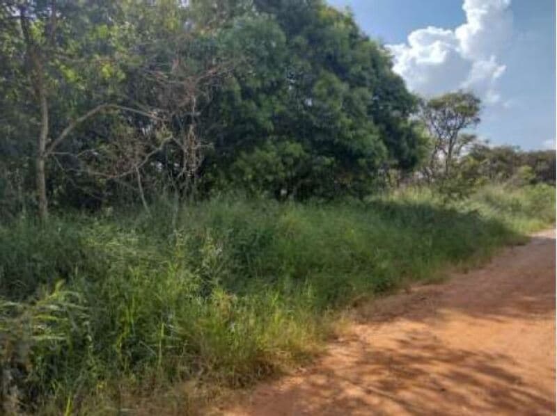 Foto 12 de 16: Terreno em leilão em Itapetininga - SP, bairro Bairro do Pinhal — LOTE 001 Terreno com área de 6.000m², Bairro do Pinhal, Vila Curuçá, Itapetininga/SP