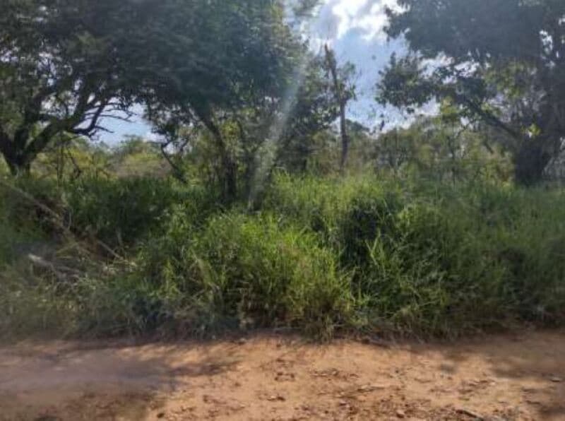 Foto 2 de 16: Terreno em leilão em Itapetininga - SP, bairro Bairro do Pinhal — LOTE 001 Terreno com área de 6.000m², Bairro do Pinhal, Vila Curuçá, Itapetininga/SP