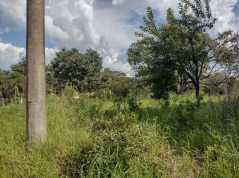 Foto 3 de 16: Terreno em leilão em Itapetininga - SP, bairro Bairro do Pinhal — LOTE 001 Terreno com área de 6.000m², Bairro do Pinhal, Vila Curuçá, Itapetininga/SP