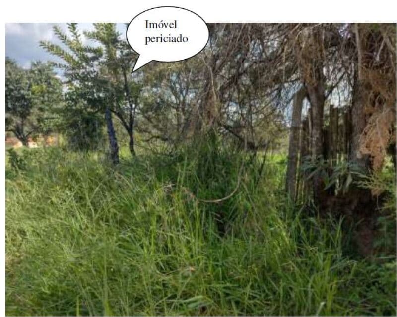 Foto 13 de 16: Terreno em leilão em Itapetininga - SP, bairro Bairro do Pinhal — LOTE 001 Terreno com área de 6.000m², Bairro do Pinhal, Vila Curuçá, Itapetininga/SP