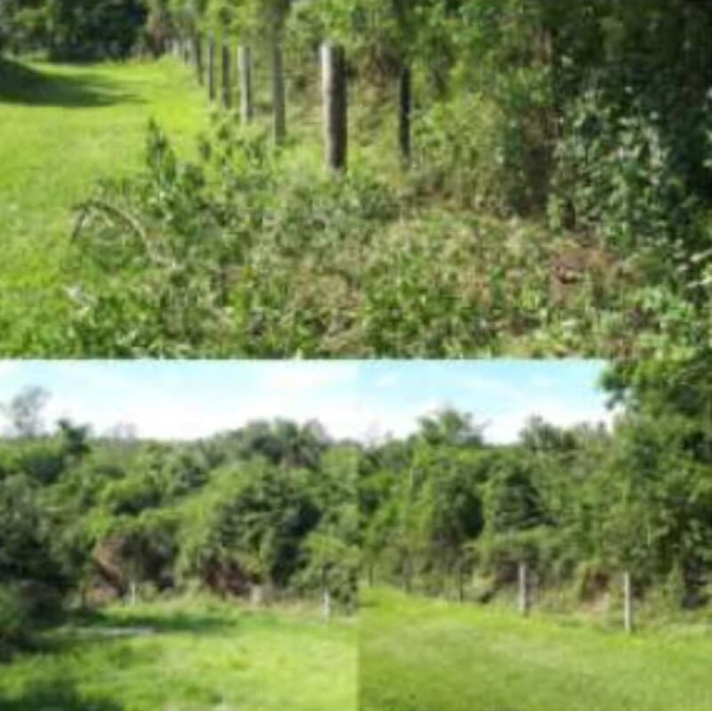 Foto 8 de 20: Terreno em leilão em Araçoiaba Da Serra - SP, bairro Aparecida — LOTE 001 Terreno - Sítio São Pedro, Gleba B, A.T. 2,7 has, Aparecida, Araçoiaba da Serra/SP