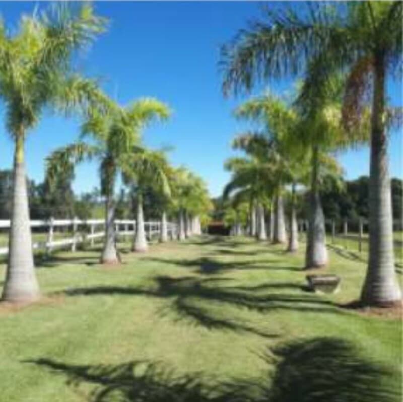 Foto 10 de 20: Terreno em leilão em Araçoiaba Da Serra - SP, bairro Aparecida — LOTE 001 Terreno - Sítio São Pedro, Gleba B, A.T. 2,7 has, Aparecida, Araçoiaba da Serra/SP