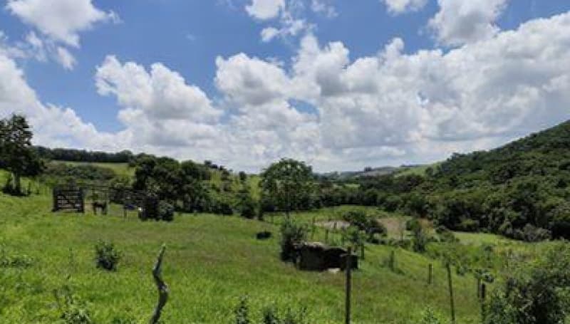 Foto 1 de 3: Terreno em leilão em Senador Amaral - MG — LOTE 005 TERRENO RURAL 41,27HA EM SENADOR AMARAL/MG