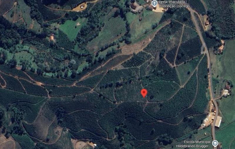Terreno em leilão em Simonésia - MG — LOTE 054 TERRENO RURAL DE 5 ALQUEIRES EM SIMONÉSIA/MG COM PLANTAÇÃO DE CAFÉ
