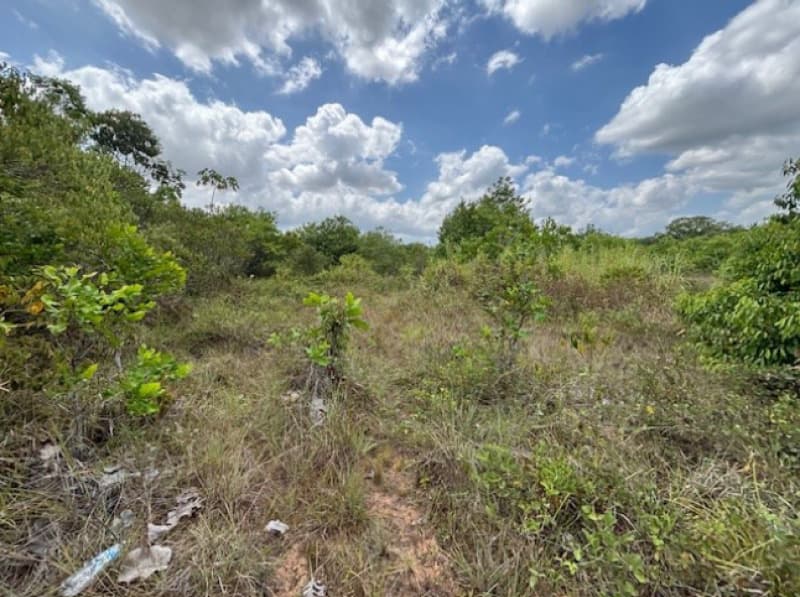 Foto 7 de 10: Terreno em leilão em Camaçari - BA, bairro Fazenda Olhos D'Água — LOTE 002 TERRENO COM 52.268,00M2 - CAMAÇARI - BA