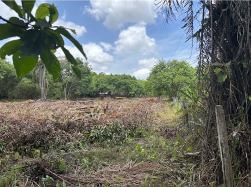 Foto 8 de 10: Terreno em leilão em Camaçari - BA, bairro Fazenda Olhos D'Água — LOTE 002 TERRENO COM 52.268,00M2 - CAMAÇARI - BA