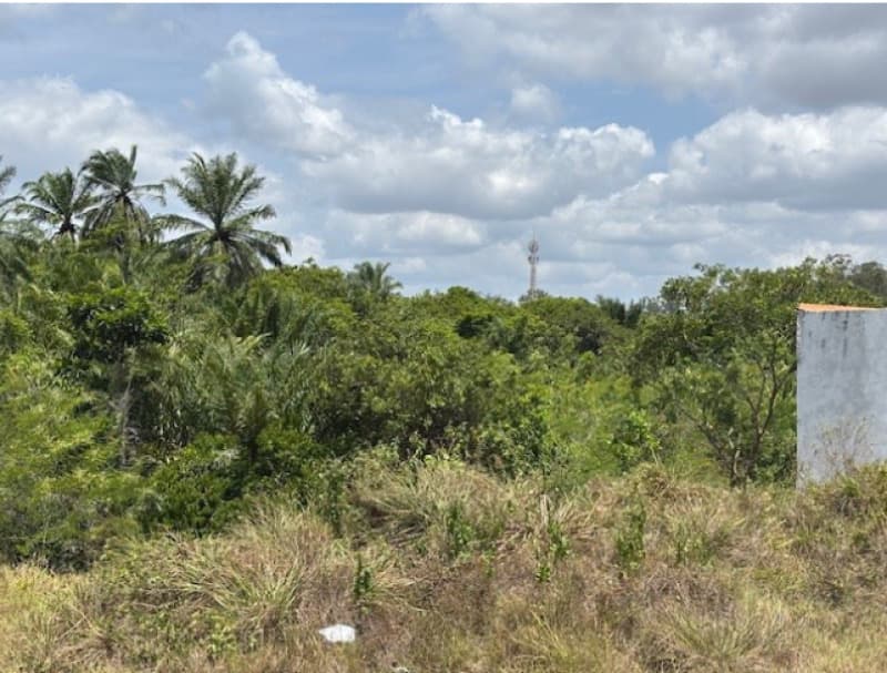 Foto 10 de 10: Terreno em leilão em Camaçari - BA, bairro Fazenda Olhos D'Água — LOTE 002 TERRENO COM 52.268,00M2 - CAMAÇARI - BA