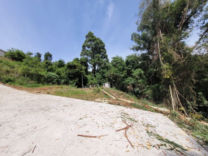 Foto 2 de 3: Terreno em leilão em Cordilheira Alta - SC — LOTE 001 Terreno em Cordilheira Alta
