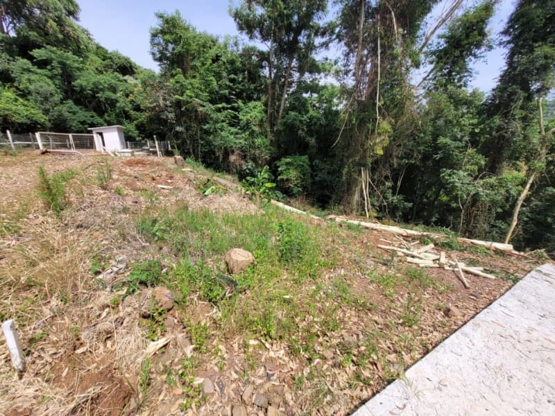 Foto 3 de 3: Terreno em leilão em Cordilheira Alta - SC — LOTE 001 Terreno em Cordilheira Alta