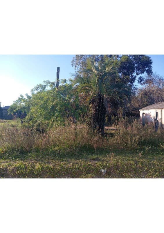 Foto 1 de 3: Terreno em leilão em Cacequi - RS, bairro Vila Mauá — LOTE 002 Mat. 2428