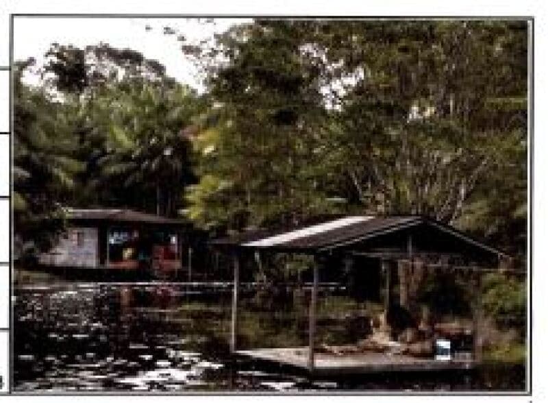 Area Rural em leilão em Anajás - PA — LOTE 129 IMÓVEL RURAL, 333000M2 Anajas/ PA