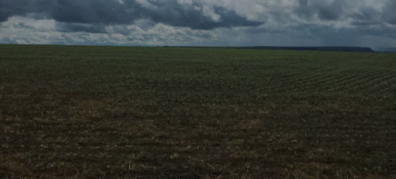Foto 3 de 6: Area Rural em leilão em Tasso Fragoso - MA — LOTE 001 FAZENDA VALE DO PUREZA, com área de 4.934,5458ha, localizado nas Glebas Sangue e Cachoeira,