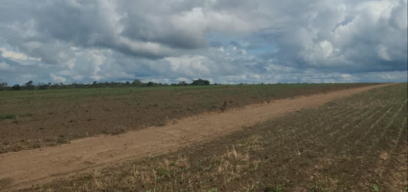 Foto 4 de 6: Area Rural em leilão em Tasso Fragoso - MA — LOTE 001 FAZENDA VALE DO PUREZA, com área de 4.934,5458ha, localizado nas Glebas Sangue e Cachoeira,