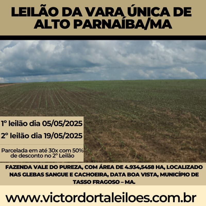 Foto 1 de 6: Area Rural em leilão em Tasso Fragoso - MA — LOTE 001 FAZENDA VALE DO PUREZA, com área de 4.934,5458ha, localizado nas Glebas Sangue e Cachoeira,