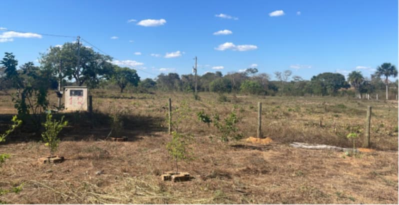 Foto 9 de 14: Terreno em leilão em Lagoa Da Confusão - TO — LOTE 002 Imóvel medindo 08.60.18ha, localizado na Avenida Vitorino Panta em Lagoa da Confusão - TO,