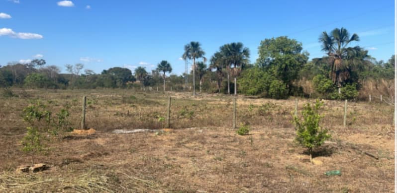 Foto 13 de 14: Terreno em leilão em Lagoa Da Confusão - TO — LOTE 002 Imóvel medindo 08.60.18ha, localizado na Avenida Vitorino Panta em Lagoa da Confusão - TO,