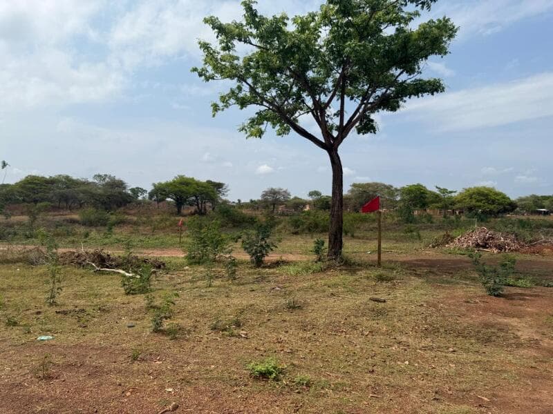 Foto 6 de 6: Imóvel em leilão em Araguacema - TO — LOTE 010 Lote nº 12, da Quadra nº 45, com área de 450,30 m², o qual está matriculado sob o nº 6.152,