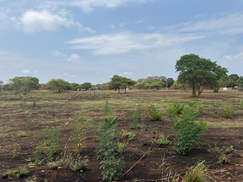 Imóvel em leilão em Araguacema - TO — LOTE 028 Lote nº 12 da Quadra nº 46, com área de 395,46 m², o qual está matriculado sob o nº 6.171,