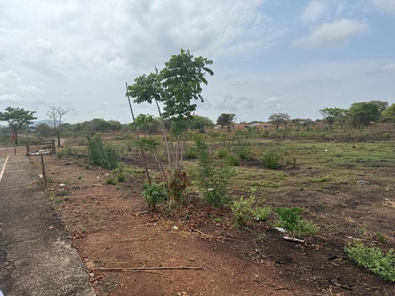 Foto 2 de 3: Imóvel em leilão em Araguacema - TO — LOTE 086 Lote nº 12 da Quadra nº 49, com área de 363,00 m², o qual está matriculado sob o nº 6.229,